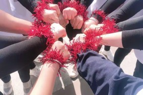 米乐体育-关于南特球员爆发冲突，团队凝聚受挑战的信息