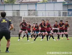 多特蒙德遭遇失利，球队全队齐心备战下一场比赛的简单介绍